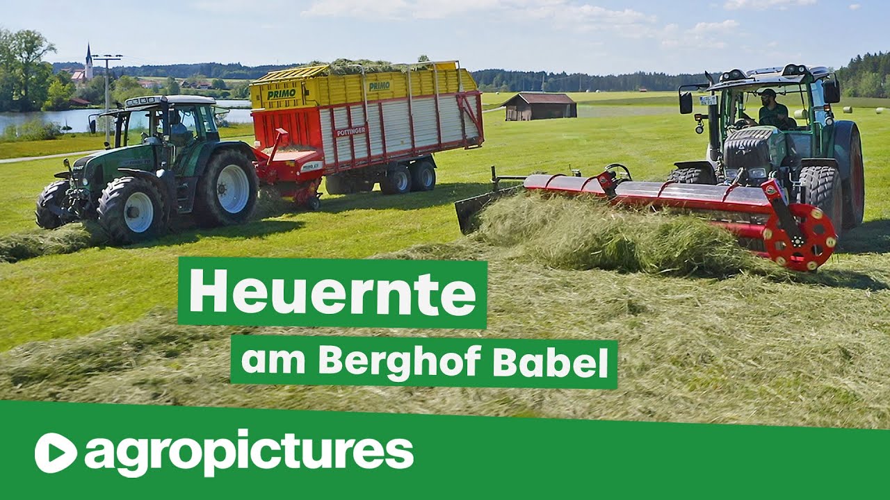 Heuernte am Berghof Babel mit Kammschwader und Doppelmessermähwerk von BB Umwelttechnik