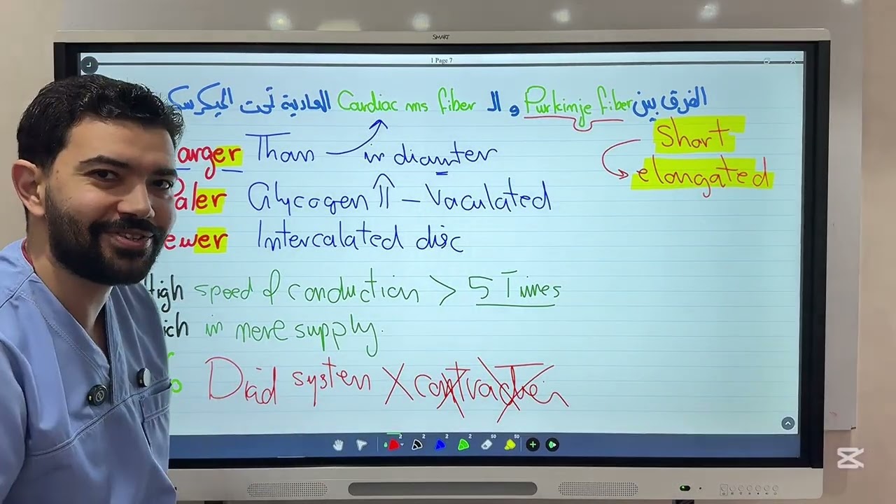 Purkinje fiber & Smooth muscle II الزقازيق