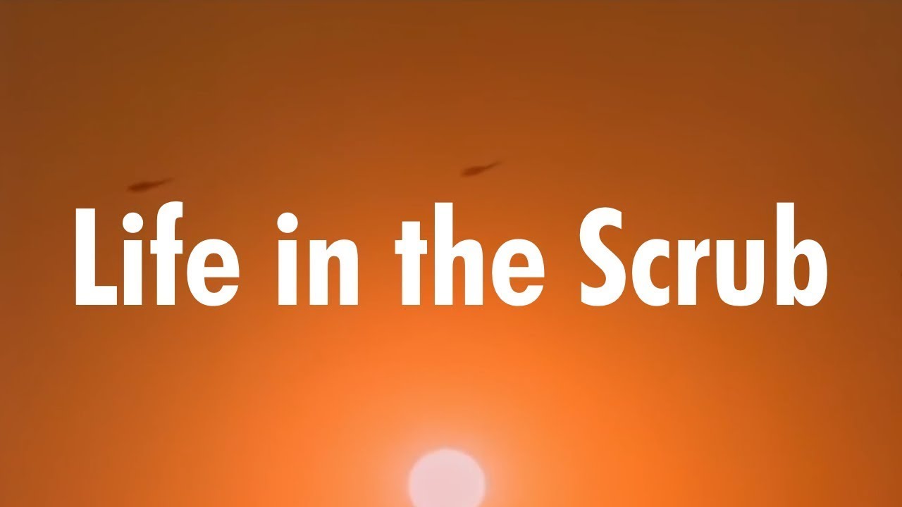 Life in the Scrub - Vietnam '66 (majorsam reupload)