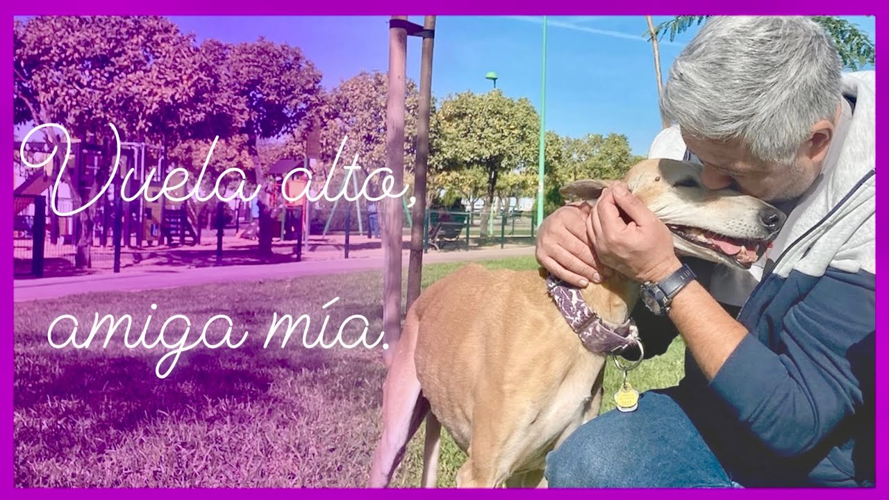 Pronto nos volveremos a ver, querida Shana 💜 Gracias por todo.