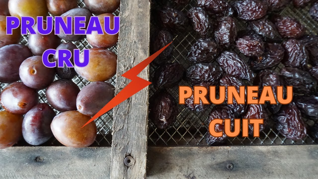 Comment faire des pruneaux ?