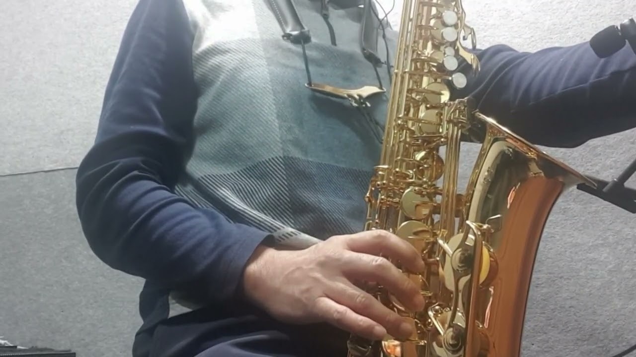 당신은얄미운나비 김연자  #saxophone #트롯 #색소폰 #머털의색소폰