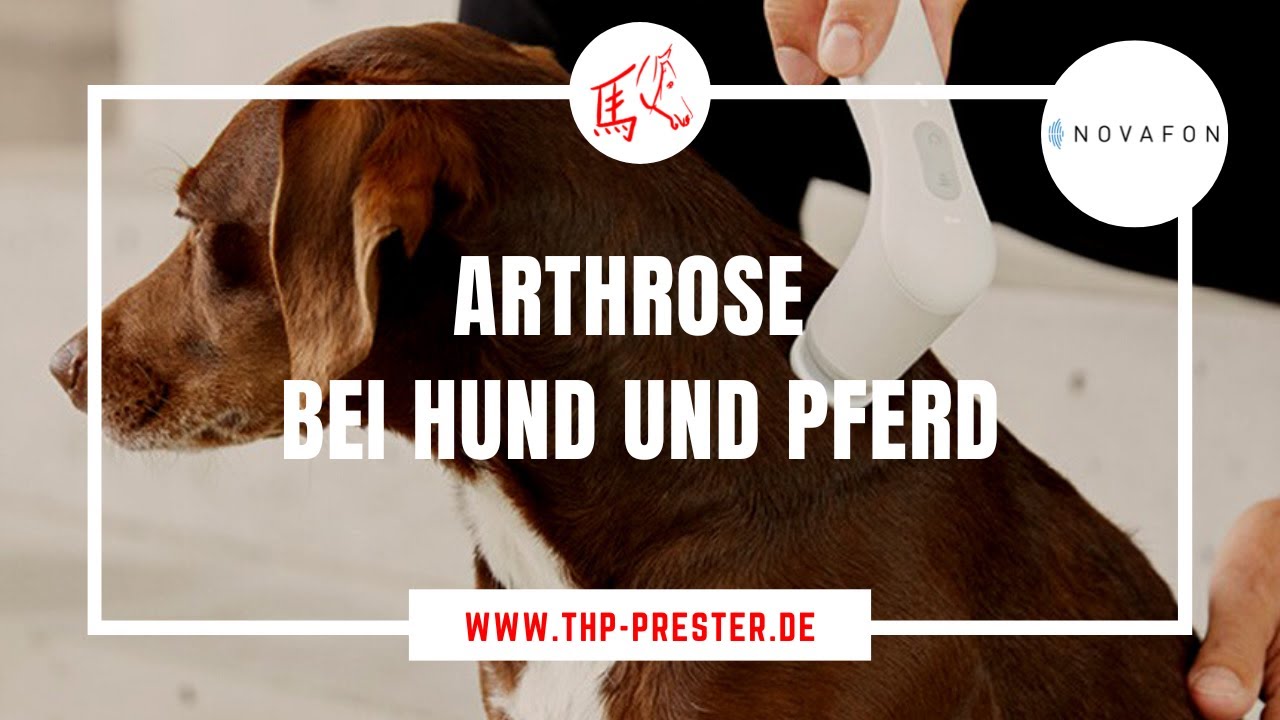 Arthrose bei Hund und Pferd (Novafon)