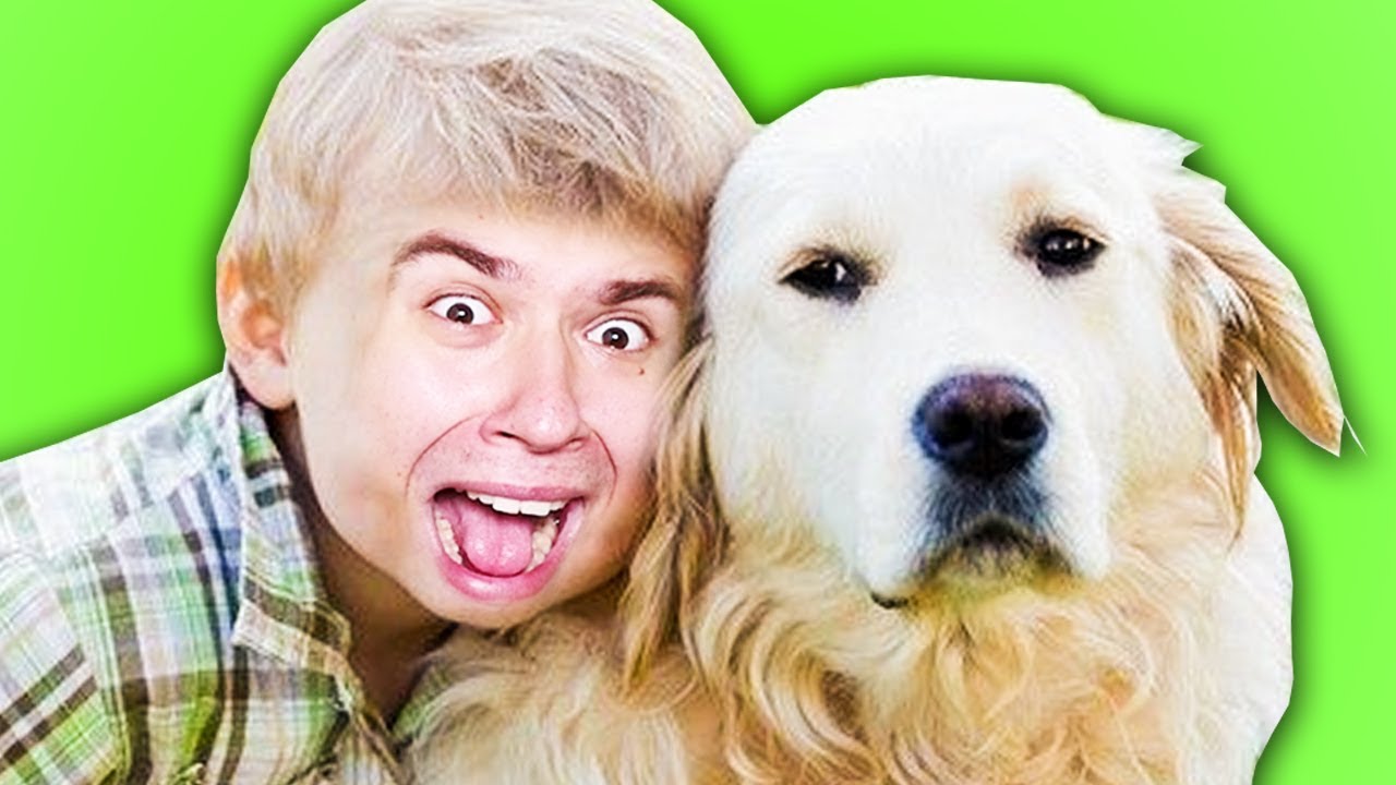 ZAADOPTOWALIŚMY PSA w Who's Your Daddy z Alienem