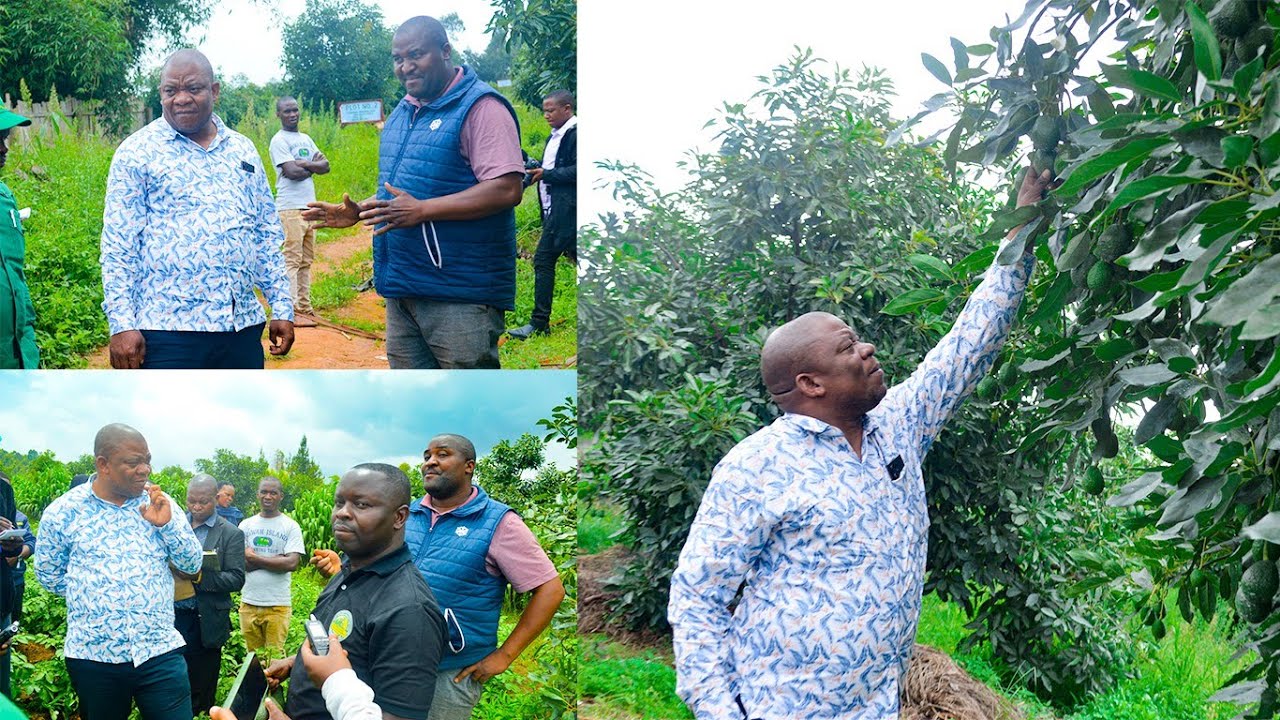 RC MTAKA AWATEMBELEA WAKULIMA WAKUBWA WA PARACHICHI NJOMBE/MADEBE/NEMES/