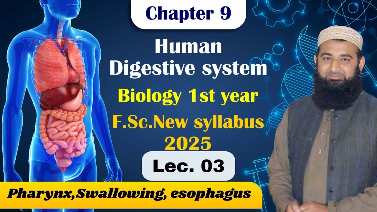 Pharynx,Swallowing, esophagus | Human digestive system | Chapter 9| F.Sc. 1st Year Biology | Lec# 3