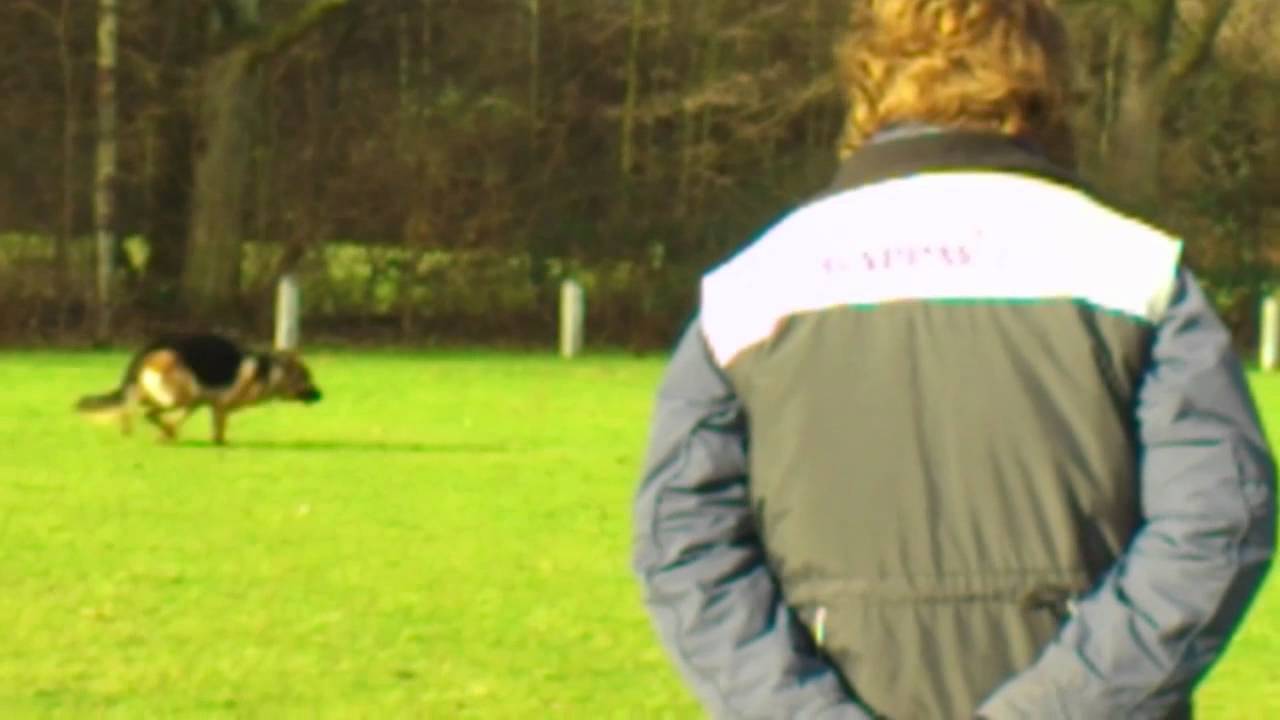Lana en John (leren rivieren)