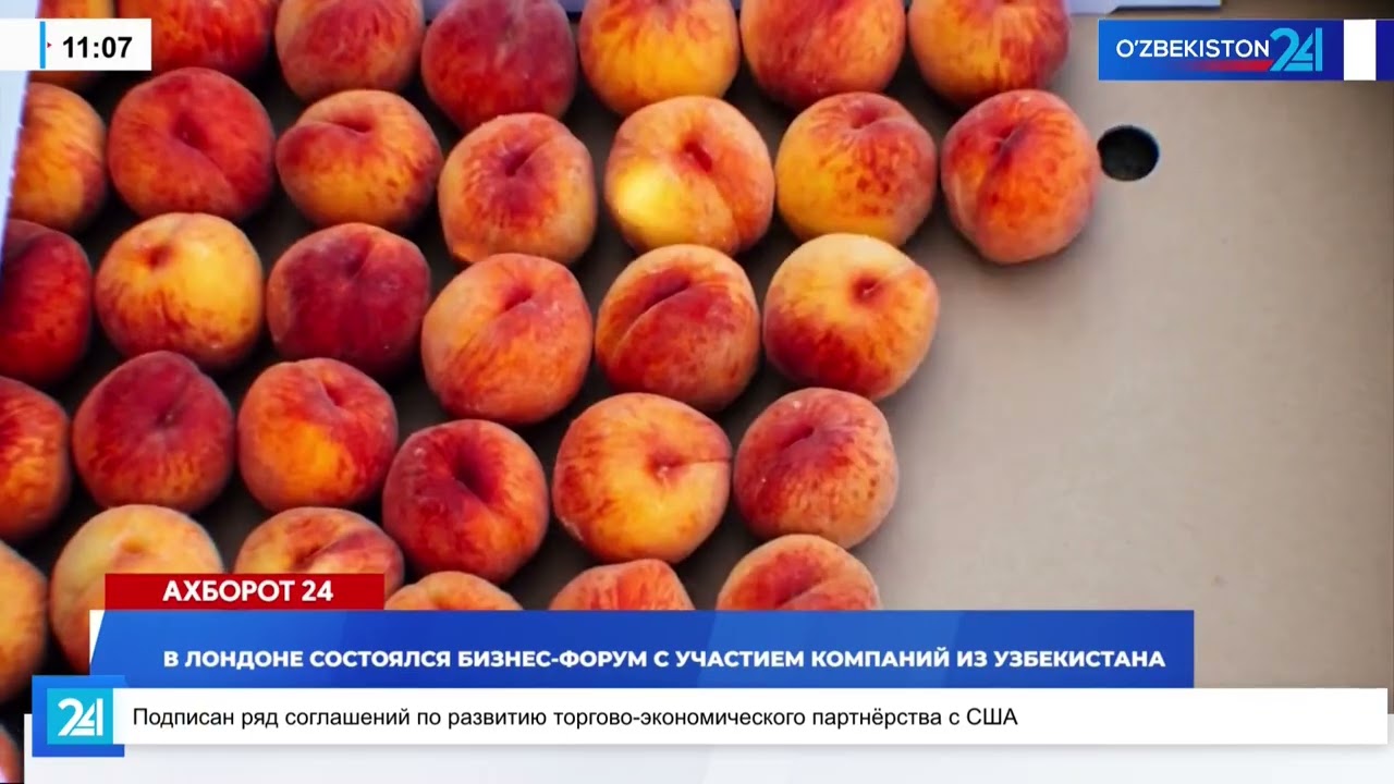 В Лондоне состоялся бизнес-форум с участием компаний из Узбекистана I Ахборот 24 (10.11.2025)