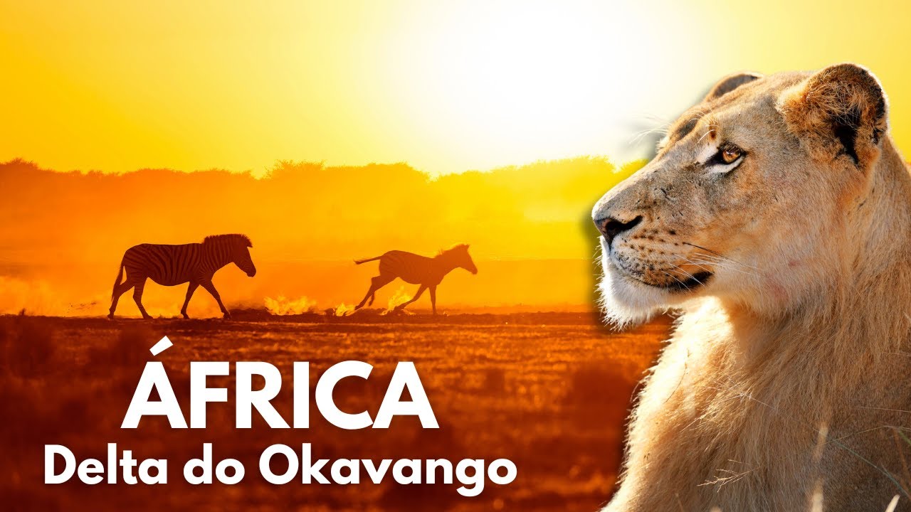África, Delta do Okavango!