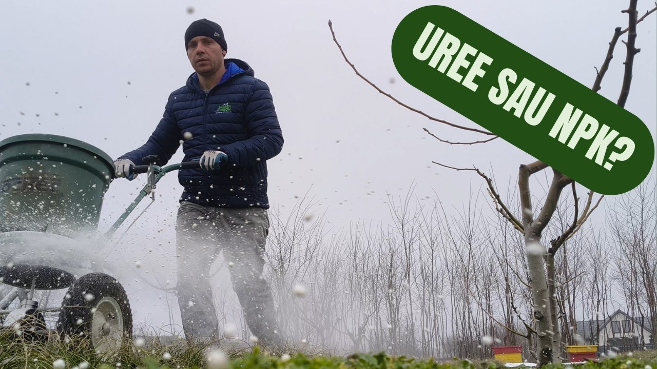 NPK sau uree în livadă înainte de vegetație? Doze corecte pe vârste