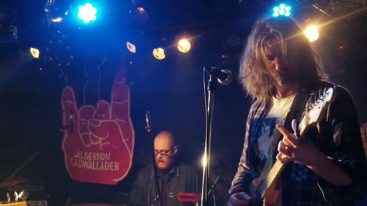 Look down - Algernon Cadwallader at 新宿NINE SPICES