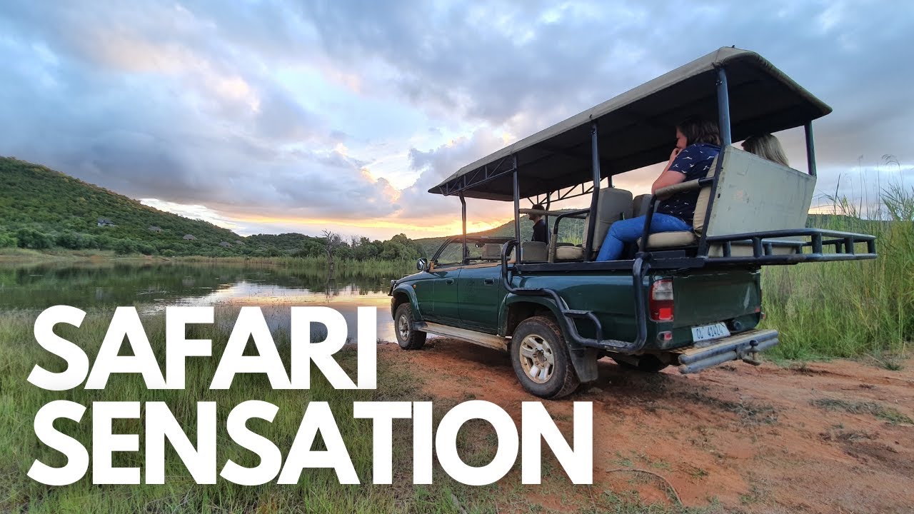 Evening safari game drive (AMAZING EXPERIENCE)
