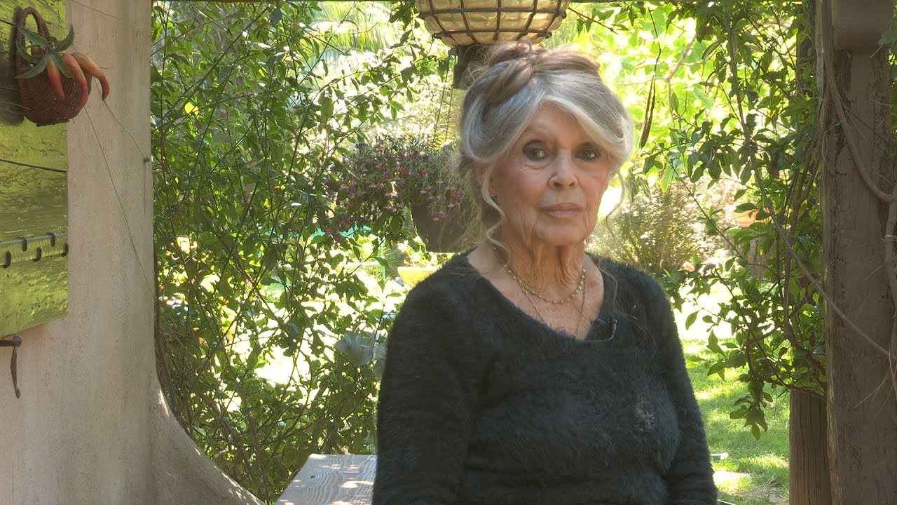Brigitte Bardot - Soutiens pour les élections européennes 2019