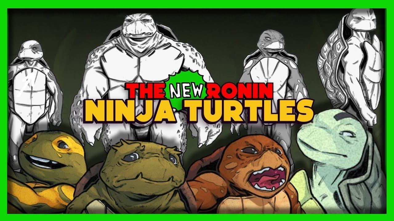 The NEW Ronin Ninja Turtles REVEALED! (TMNT Next Generation is HERE)