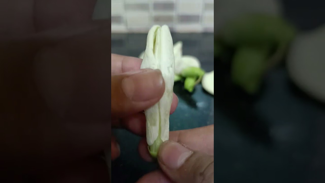 ‪@simplifyplanttaxonomy‬