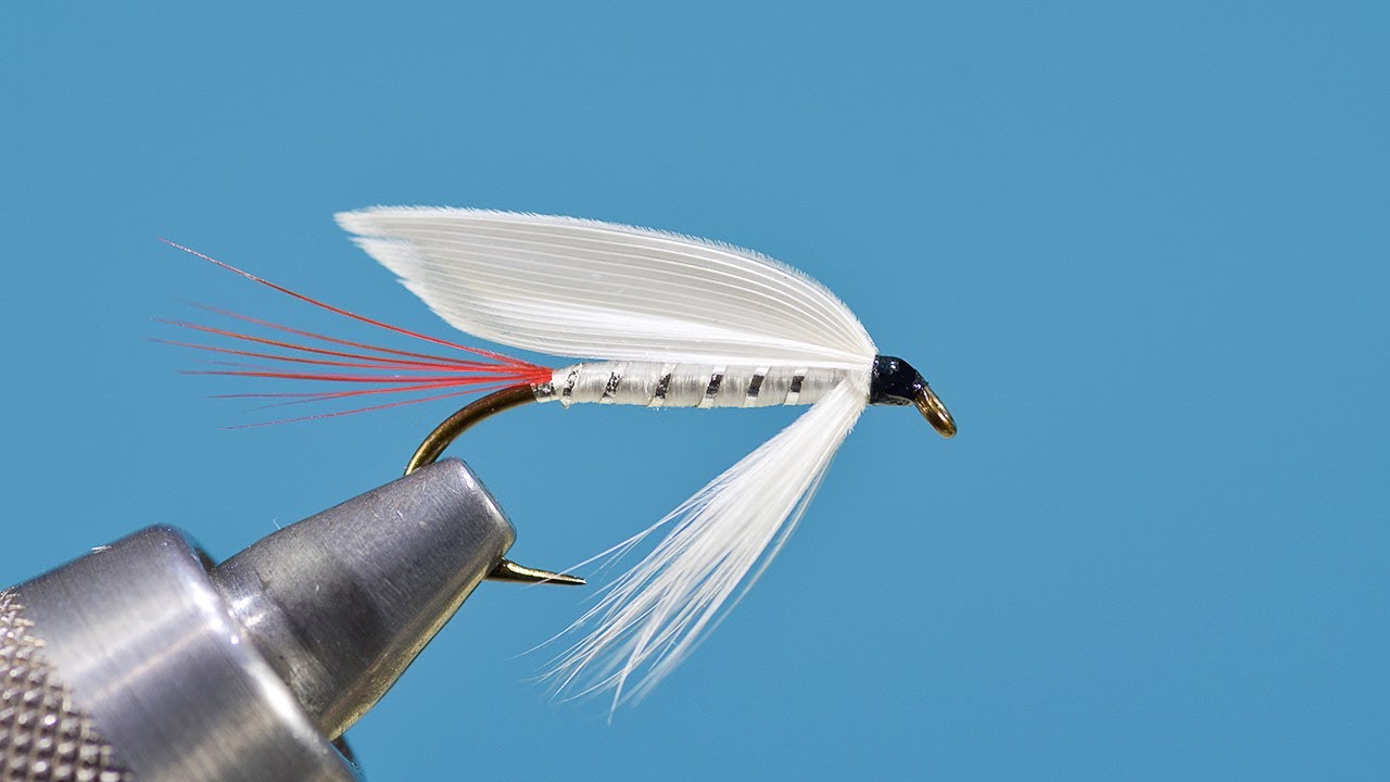 White Miller Wet Fly with Eric Austin