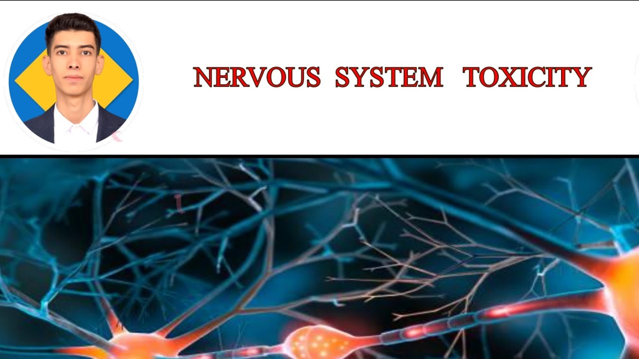 Neurotoxicity \\ lab 1  حسين طالب 