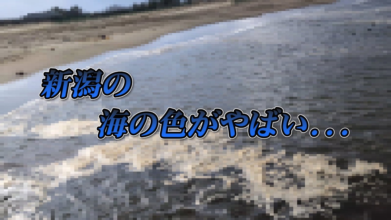【新潟】海が汚すぎる...