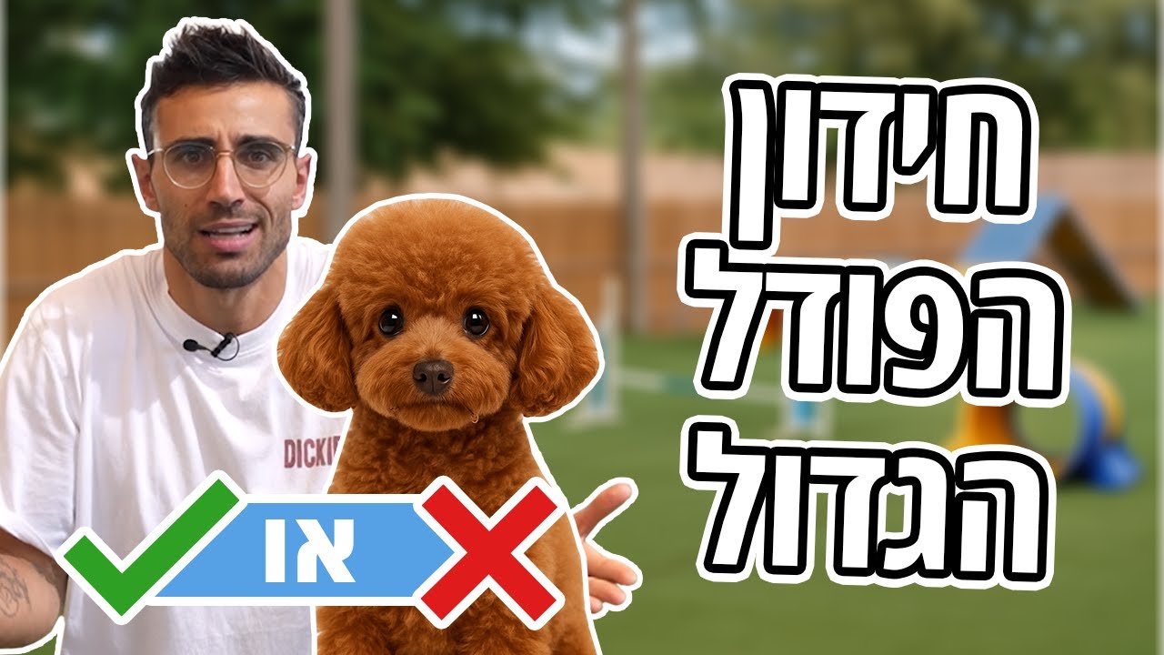 אתגר הפודל עם נועם פירוז | חיותא TV