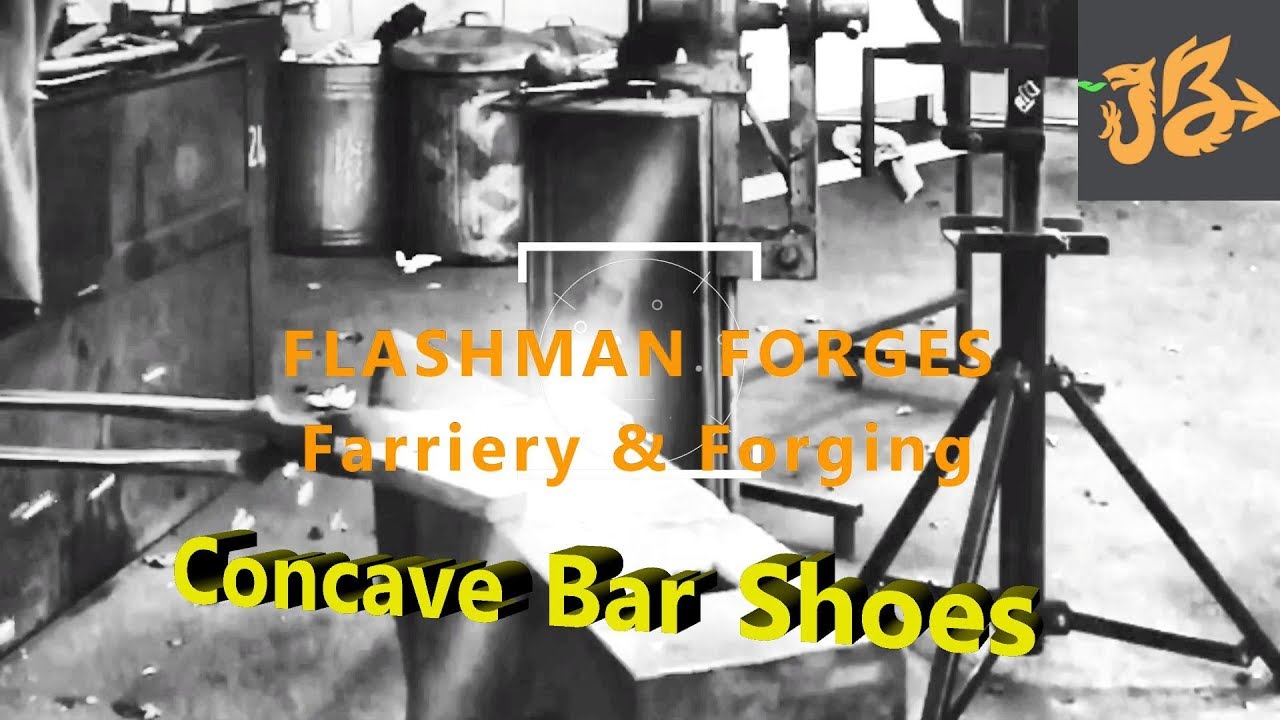 The Concave Bar Horse Shoes
