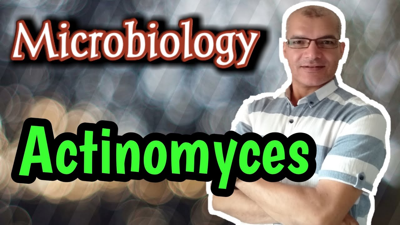 Actinomyces: Characteristics, Pathology and Treatment