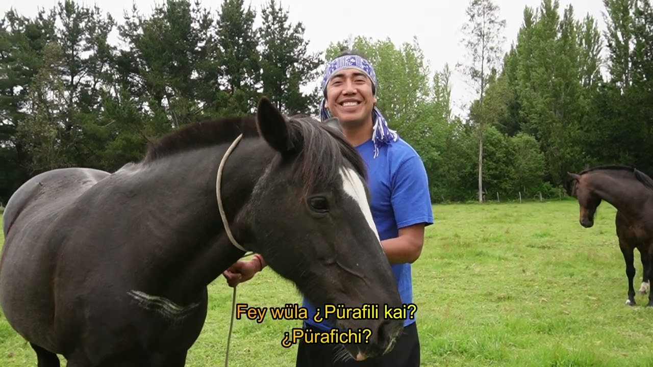 3.  Llemen kawell - idioma mapuche - Mapuzugun