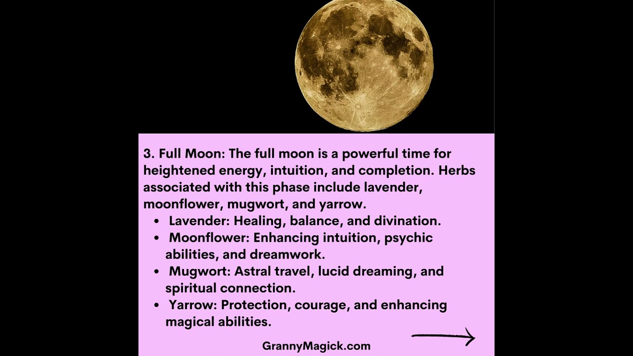 Moon Phases & Corresponding Herbs