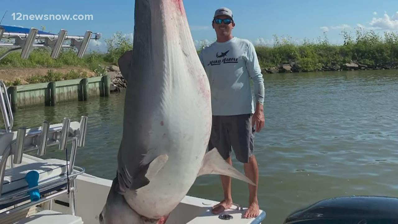 Texas City fishermen get 'catch of a lifetime' after reeling in 12-foot shark
