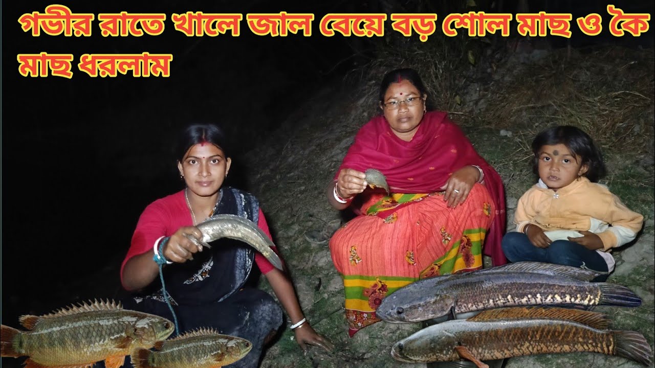 গভীর রাতে খালে জাল বেয়ে শোল মাছ ও কৈ মাছ ধরলাম! Night fishing || Nandita Sundarban life 