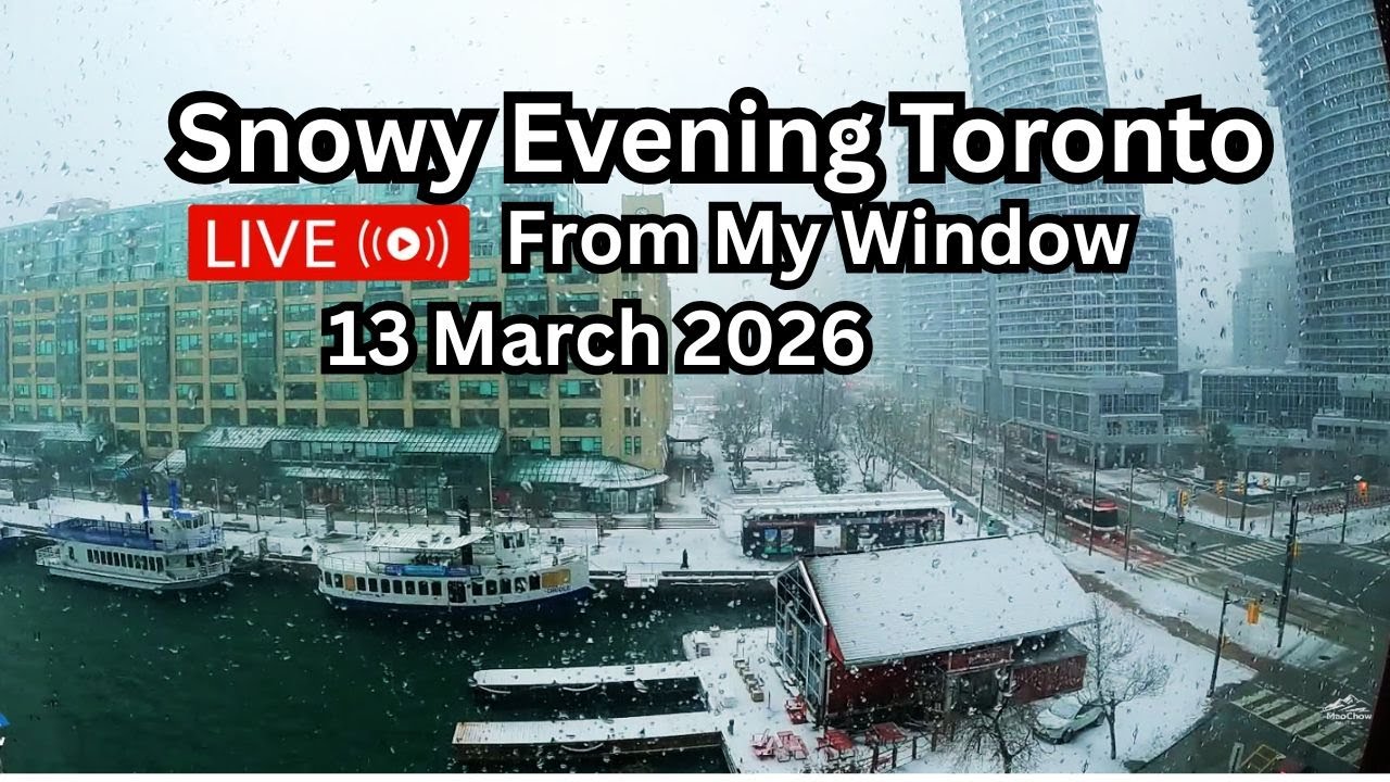 🔴Toronto Window Cam LIVE HD | MaoChow Adventure 13th March 2026 Snowy Noon to eve vibes