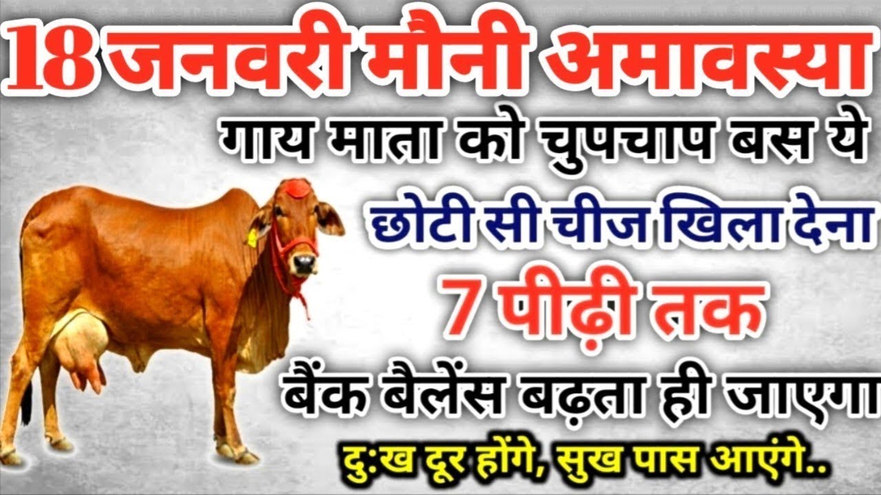 18 जनवरी मौनी अमावस्या गाय को खिला दें ये छोटी सी चीज जन्म-जन्मों के पितृदोष होगे दूर #cow #amavasya