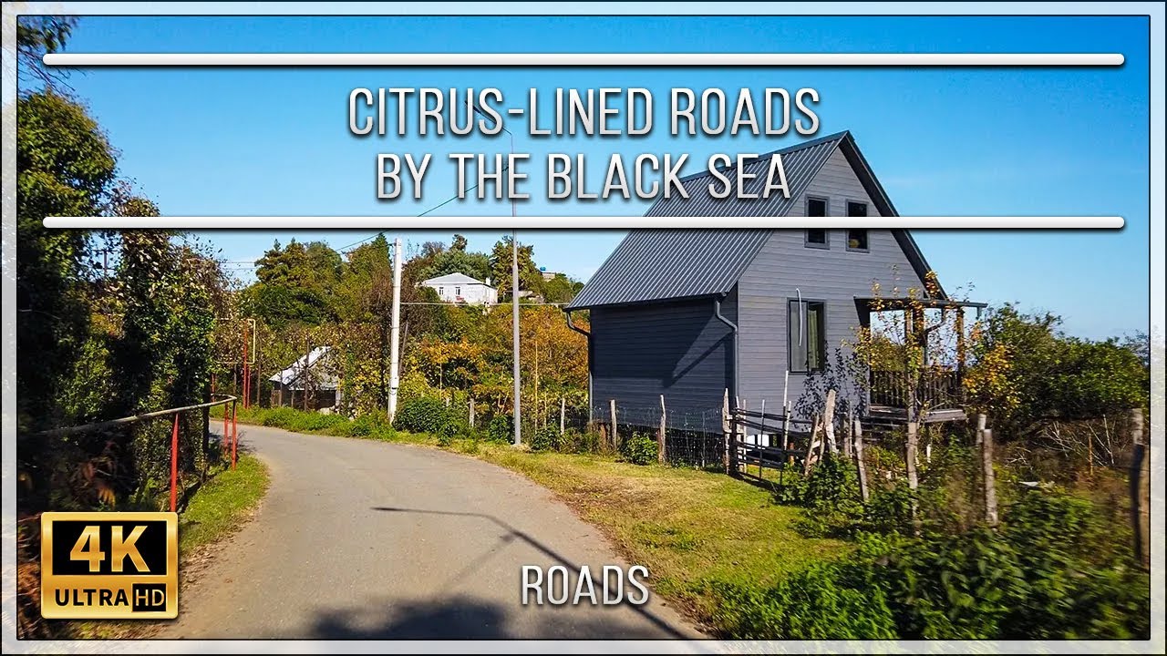 Citrus-Lined Roads by the Black Sea | 4K Journey