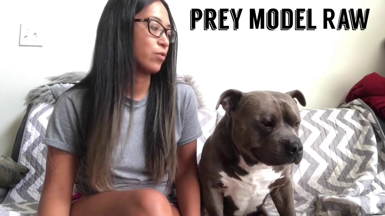 HOW TO MAKE A PREY MODEL RAW (PMR) MEAL FOR YOUR DOG
