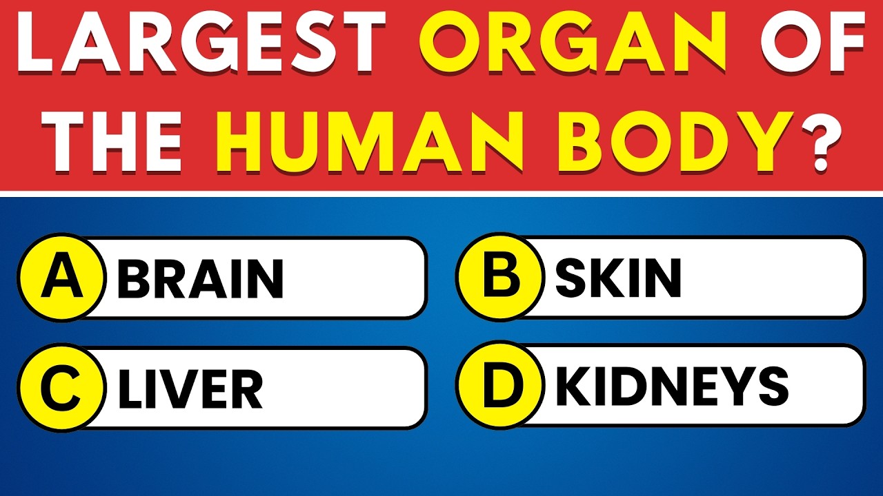 Can You Pass This Anatomy Quiz 🧠 40 Human Body Questions!