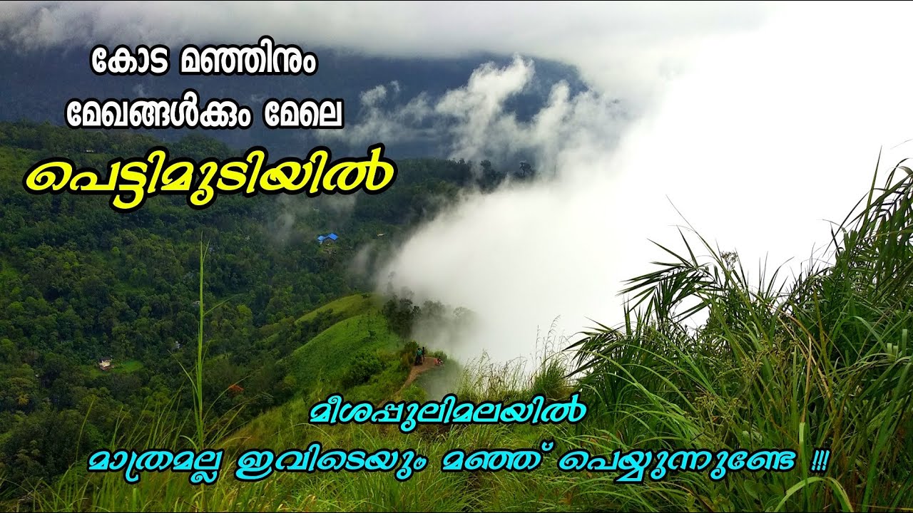 Pettimudi Hilltop Idukki Kerala -മഞ്ഞ് പെയ്യുന്നത് കാണാൻ മീശപ്പുലിമലയിലേക്ക് പോകണ്ട;ഇങ്ങോട്ട് പോരൂ