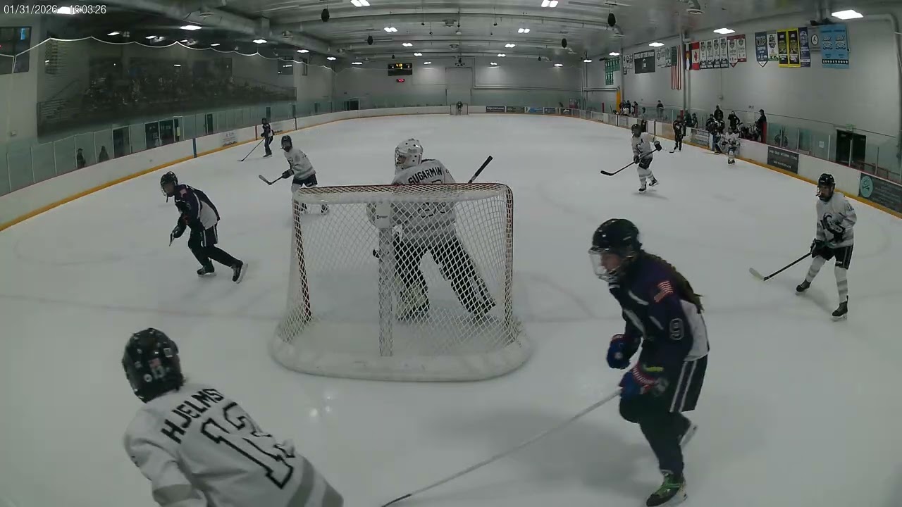 1 31 2026 vs NM Clip 6