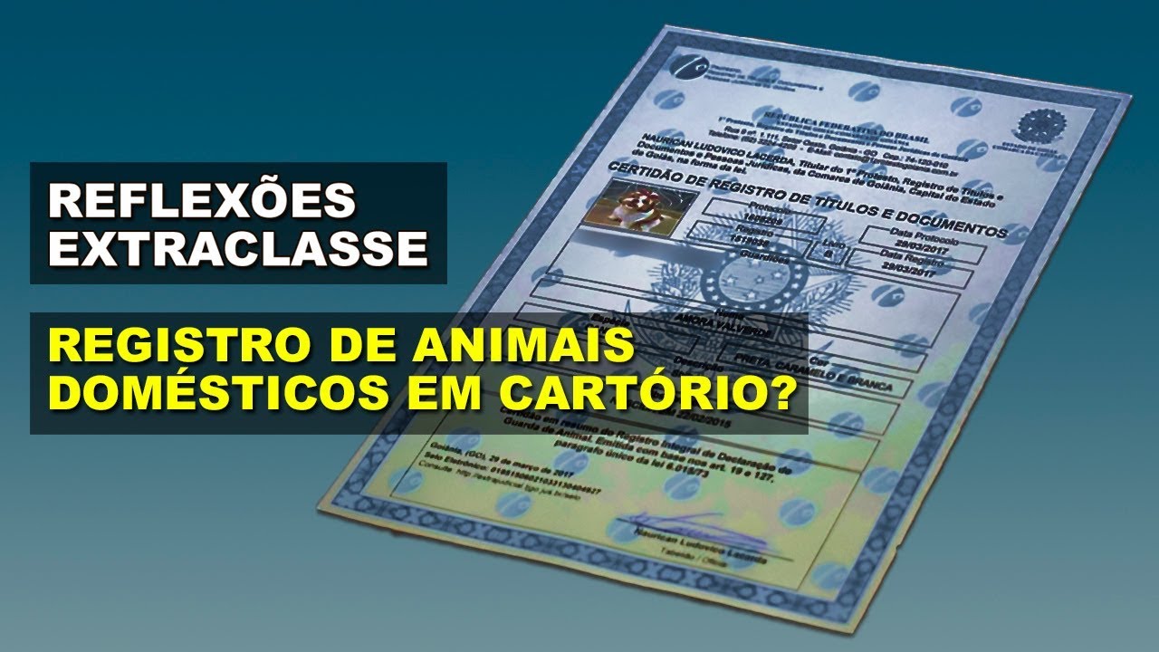Registro de animais dom&eacute;sticos em cart&oacute;rio? | Reflex&otilde;es Extraclasse