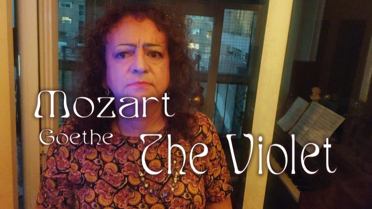 "Das Veilchen" [The Violet] - MOZART | LauraTenora