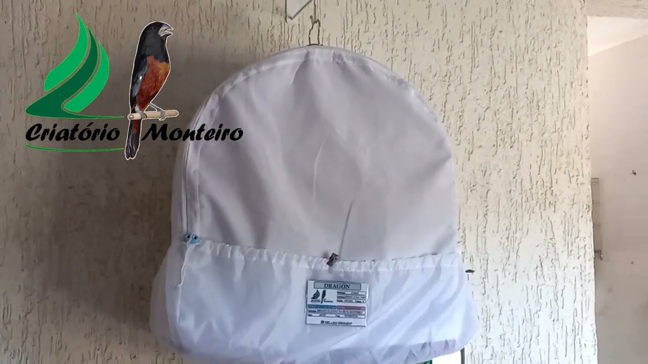 Criat&oacute;rio Monteiro | Pardo sendo encartado no Ana Dias Selo Ouro