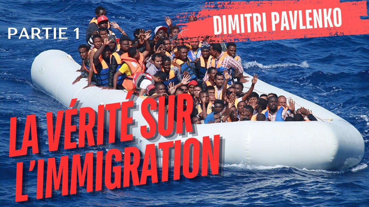 J'ai étudié L'IMMIGRATION, je vous révèle LA VERITE ! 1e partie