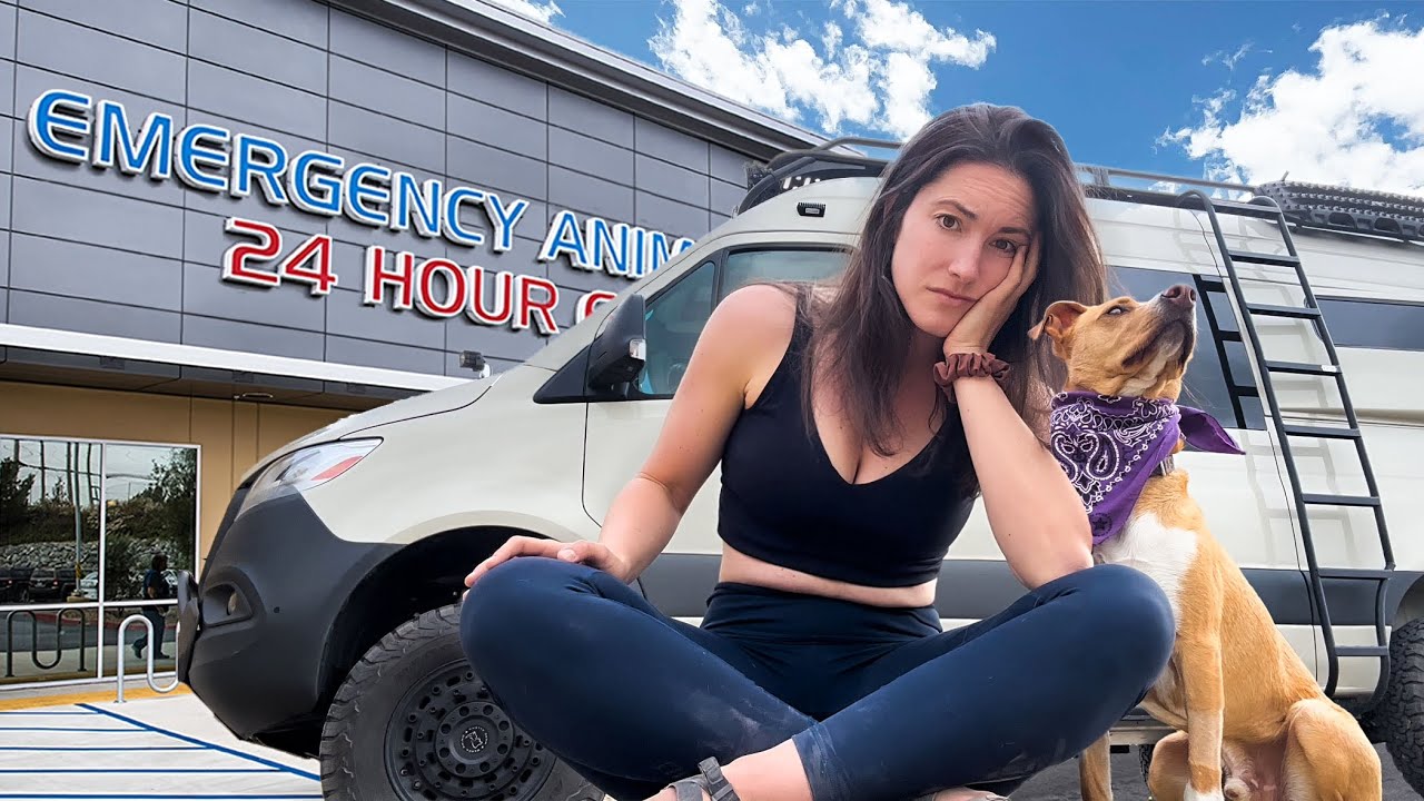When living in a van takes a horrible turn (ending at the emergency hospital🚨)