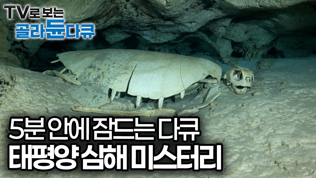 과학으로도 풀리지 않은 태평양 심해의 미스터리｜태평양 심해 탐사｜수면다큐｜다큐프라임｜#골라듄다큐