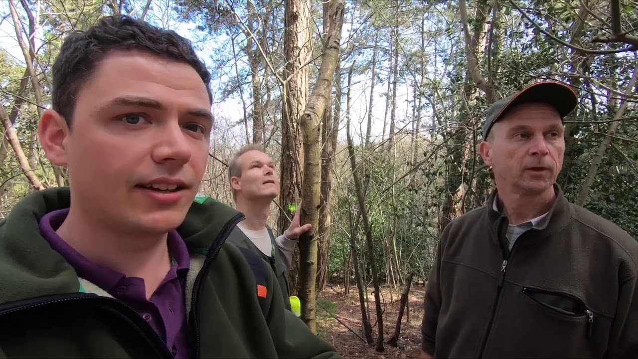 BoswachtersVlog #4 Voorbereiding Bosbeheer Najaar 2018 Schoorlse Duinen