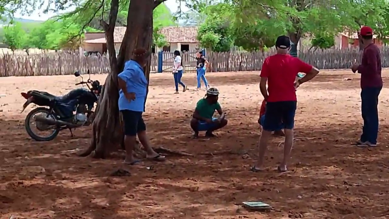 14 de fevereiro de 2026