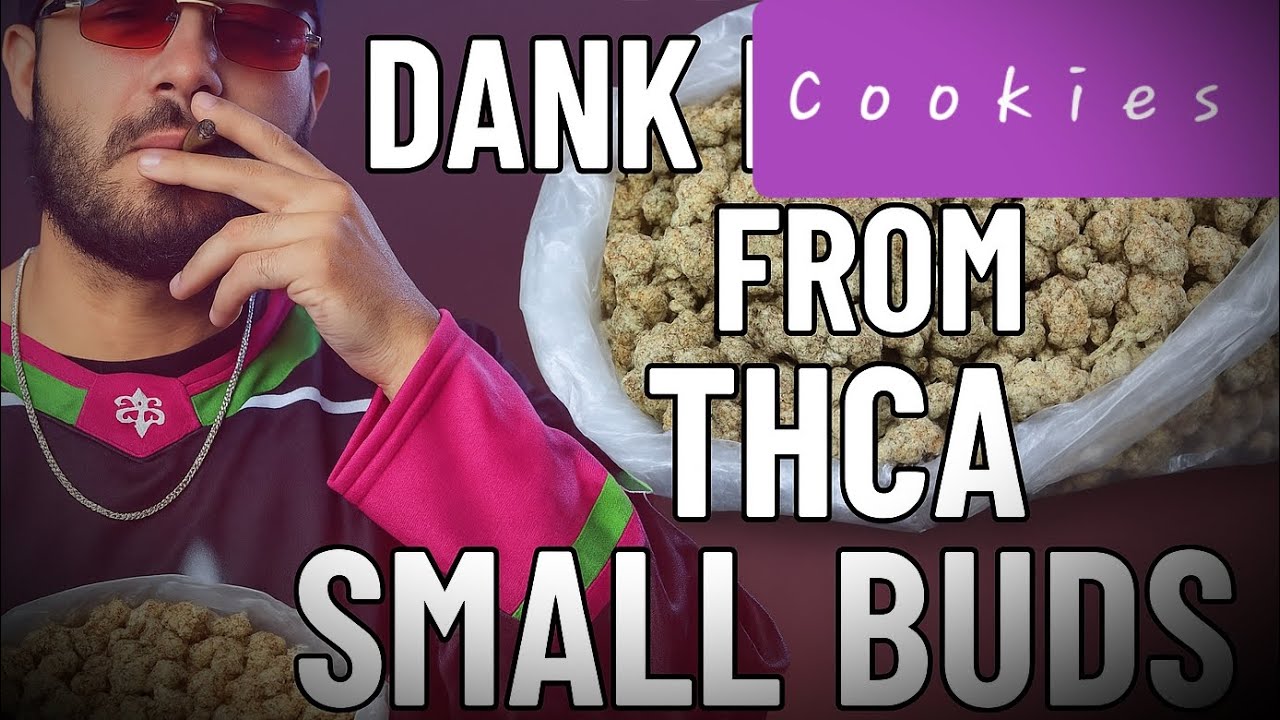 DANK FLAMINGO x THCA SMALL BUDS = Dank Cookies Thca Flower. Review #thcasmallbuds