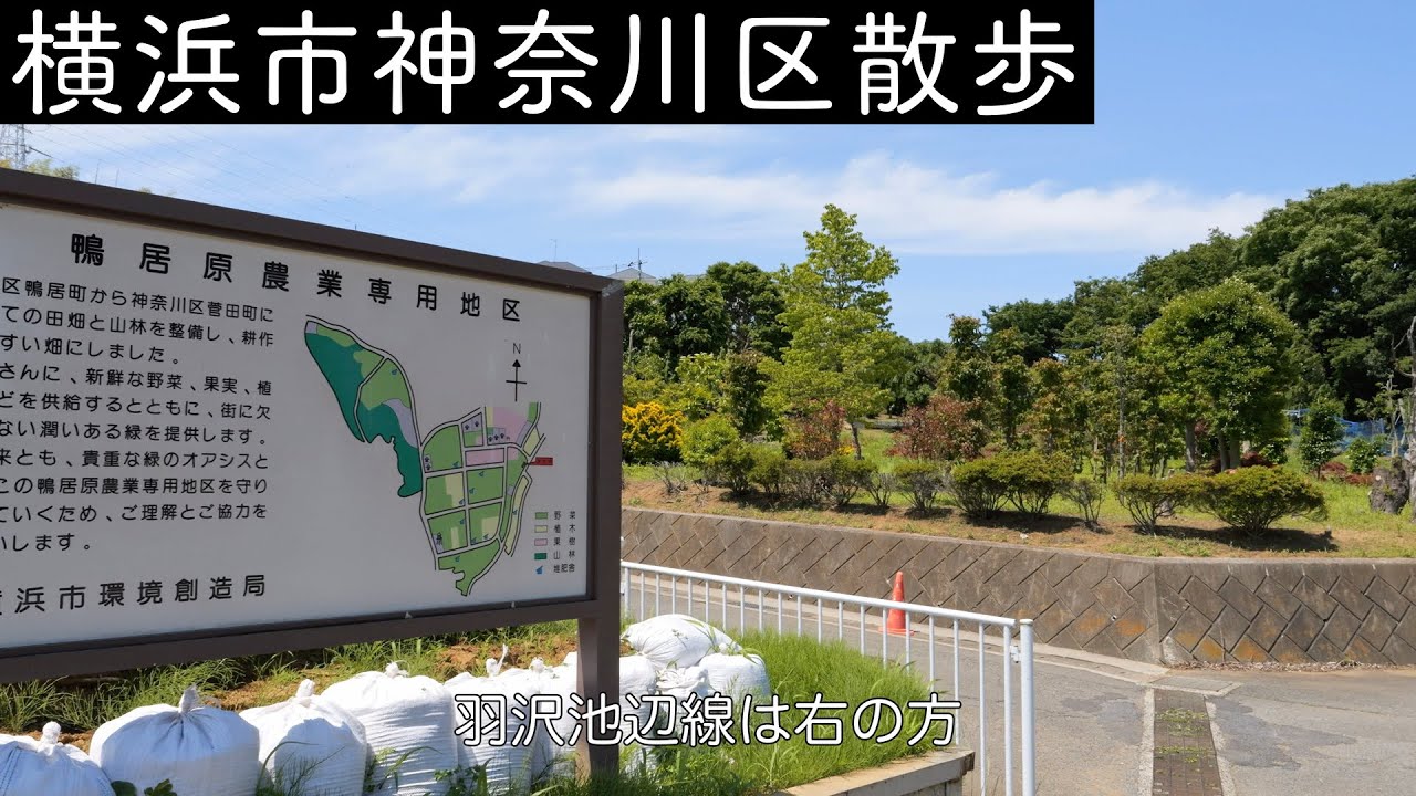 【横浜 菅田町の秘境】相鉄西谷駅まで歩く。神奈川区。4k