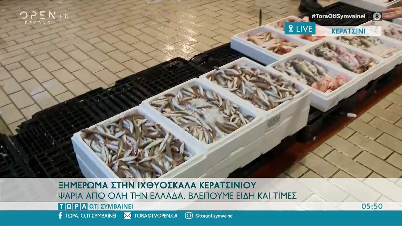 Ξημερώματα στην ιχθυόσκαλα Κερατσινίου - Υπάρχουν 110 επιχειρήσεις
