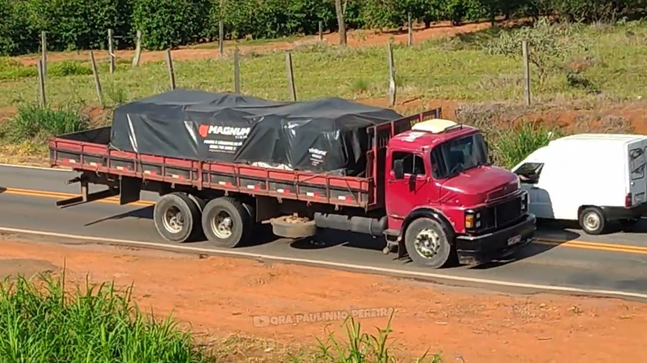 NA ONDA DO REGGAE #06 #caminhão #caminhao #caminhoneiros #truck