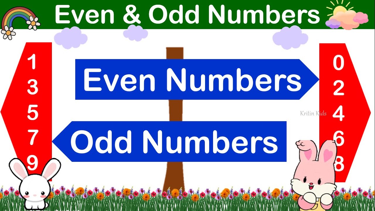 Even & Odd Numbers | Learning Even And Odd Numbers | Even , Odd Number Maths Concept for Kids