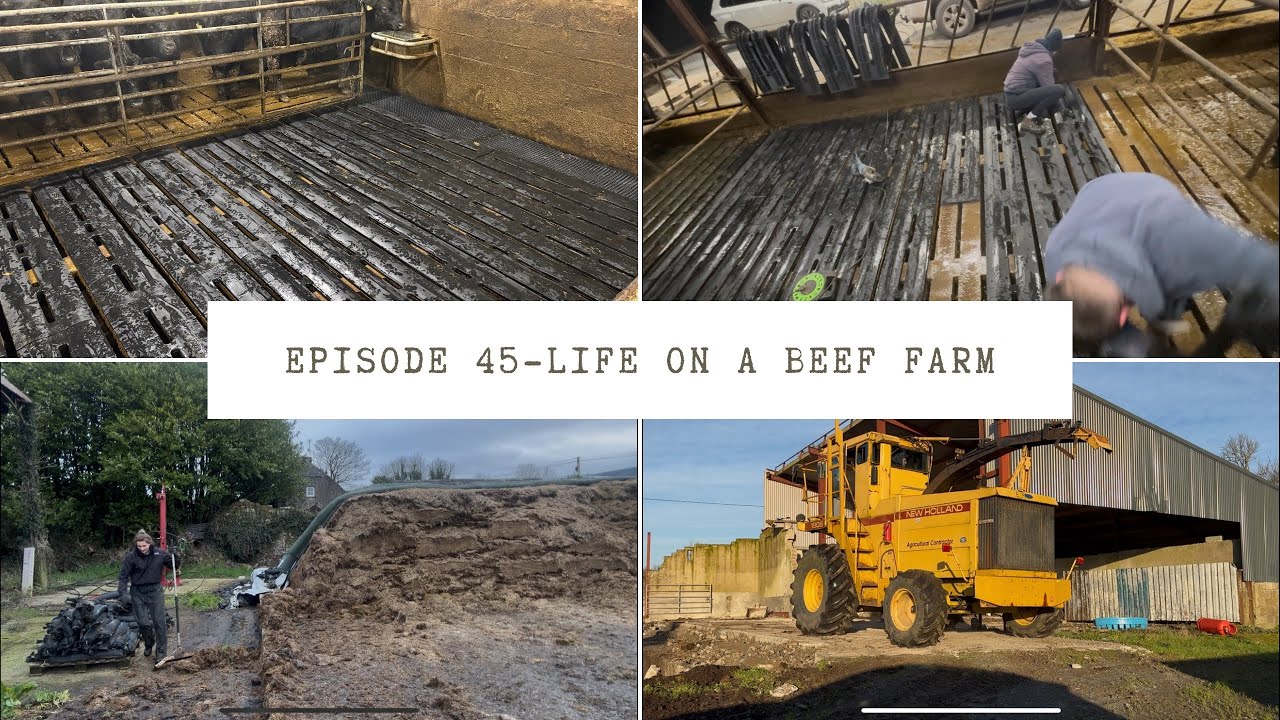 Episode 45 - Fitting slat mats, Xmas clean up and moving machines 🐂